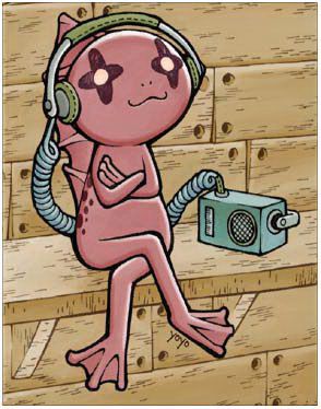 Thara Frog Card