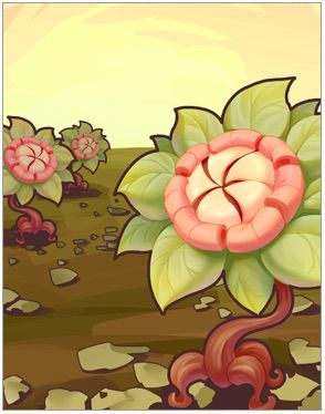 Geographer Card