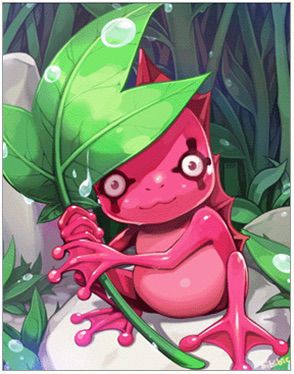 DR Roda Frog Card