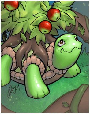 Coconut Tree Turtle Card