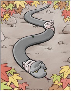 Water Snake Card