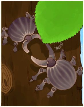 Horn Card