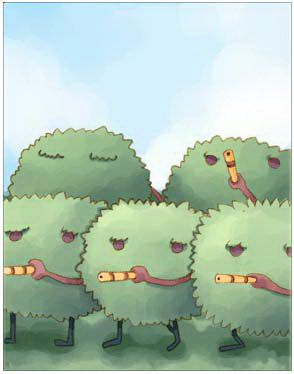 Rafflesia Card