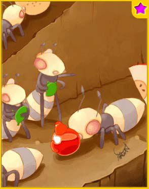 Andre★Card