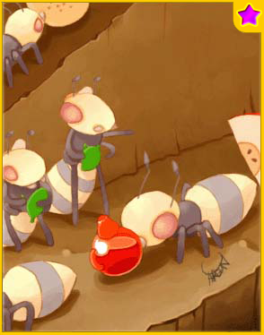 Andre★Card