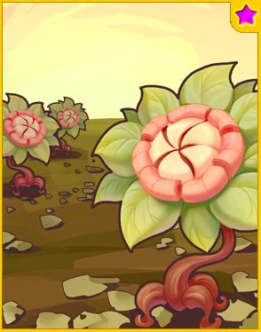 Wicked Sunflower ★ Card