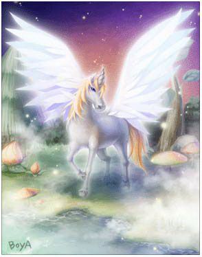 Cornus Card