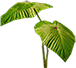 Green Plant