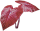 Red Plant