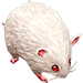 Tarou