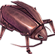 Thief Bug