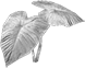 White Plant