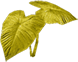 Yellow Plant