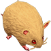 Wildness Rat