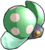 Forest Beetle