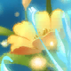 Holy Water Blessing Card