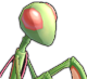 Mantis