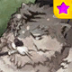 Revenant Eddga ★ Card