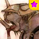 Orc Zombie ★ Card