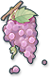 Grape
