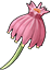 The aloof heather