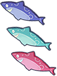 Whitewater Flying Fish
