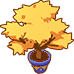 Cool Autumn