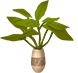 Potted Landscape - Verdant