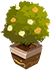 Potted Landscape - Face the Sun