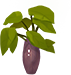Potted Landscape - Palm