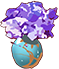 Flower - Star Violet