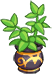 Plant - Clean and Tiny