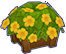Bonsai · Jinyang