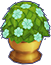 Bonsai · Blue Moon