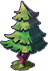 Jinding Birch