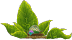 Item 39706