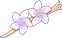 Flower card[1]