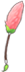 Far Star Flower[1]