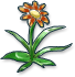 Fancy Flower