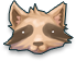Raccoon Hat