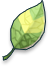 Smokie Leaf Headwear