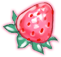 Strawberry Clip