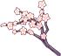 Cherry Blossom Shower