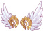 Wings of the Wind