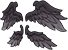 Four-winged Holy Feather·Order