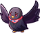 Little black pigeon