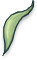 Romantic Leaf