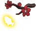 Plum Carp