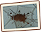 Zhengju Icon