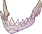 Mouth